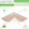 imageNeuHeils Silicone Adhesive Foam Dressing Bandage with Gentle Border 6 x 6 inch for Bed Sore Leg Ulcer 5 Pack High Absorbency Waterproof Silicone Wound Bandage for Pressure Ulcer6x6 Pack of 5